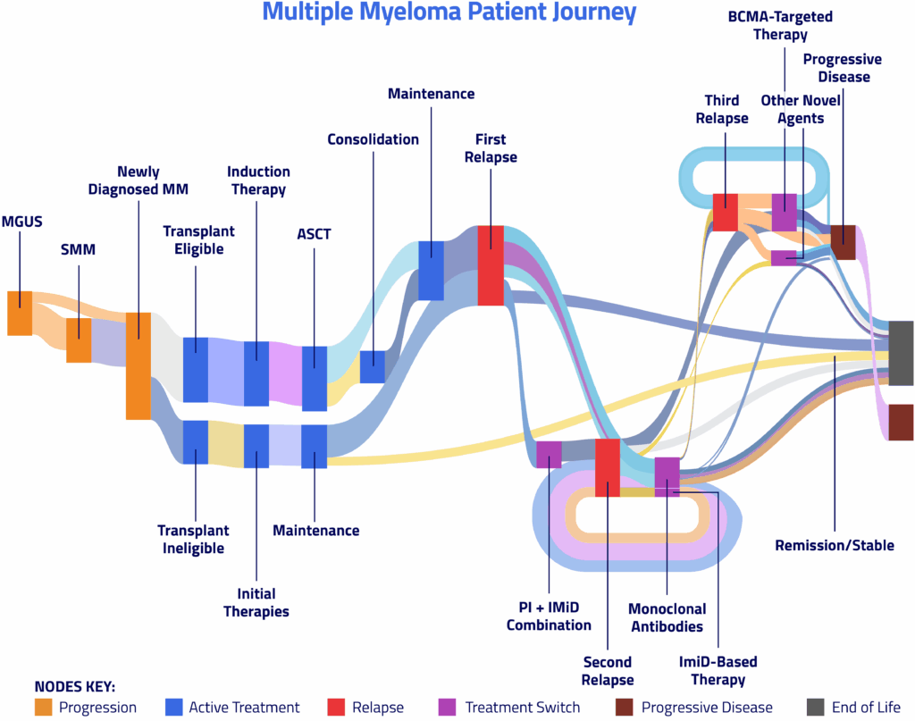 BLOG_Multiple Myeloma Patient Journey
