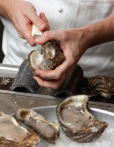 oyster